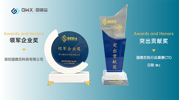 喜訊，國微芯再獲兩項(xiàng)大獎(jiǎng)！